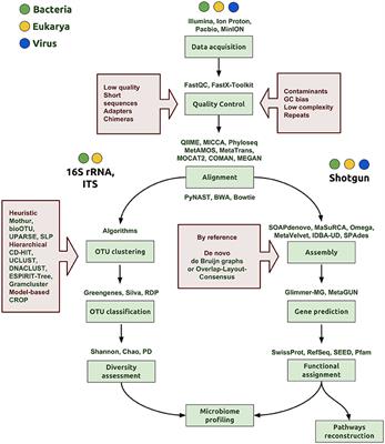 Host-Microbiome Interaction and Cancer: Potential Application in Precision Medicine